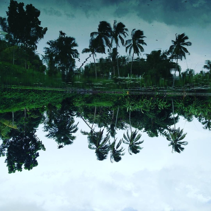 Upside down scenery
