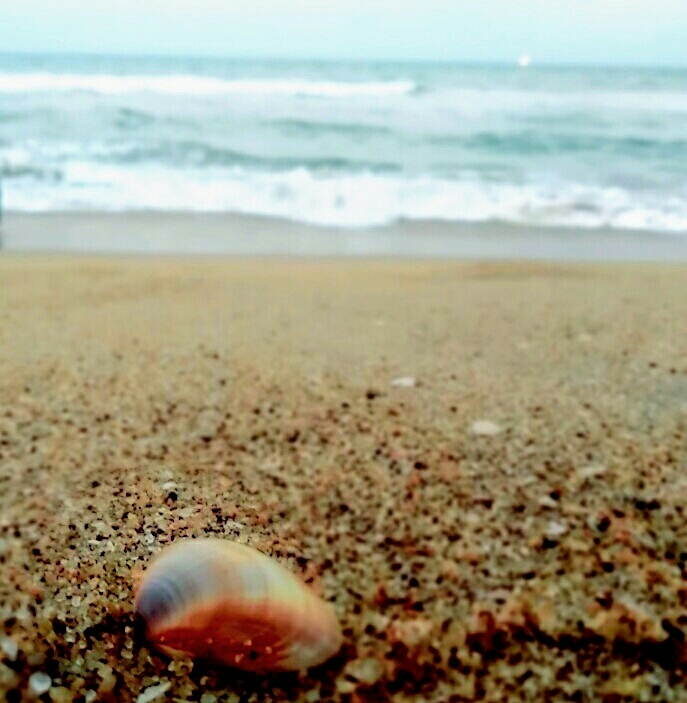 Earth has music..for those who listen..