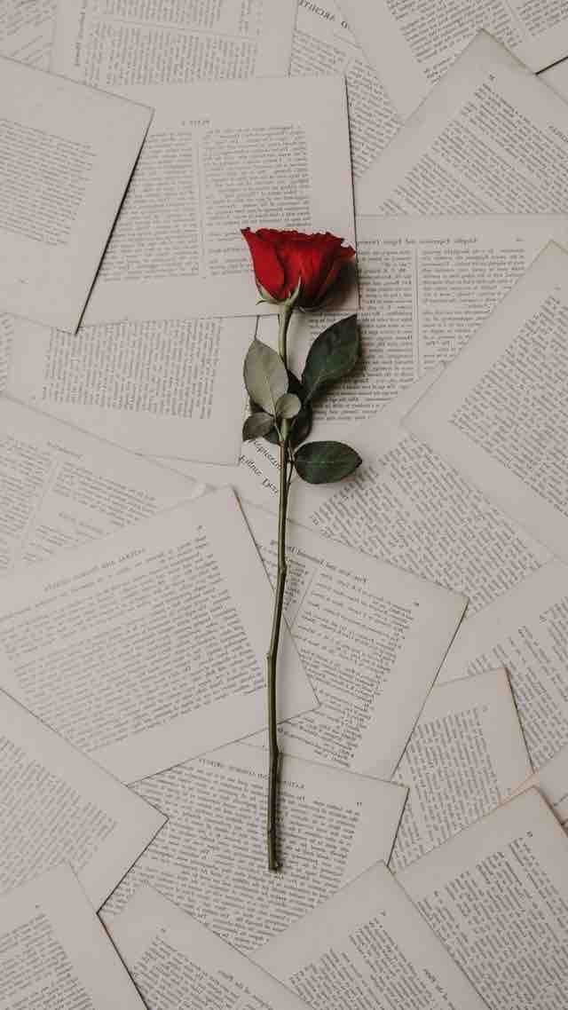 flower ? is my best favorite