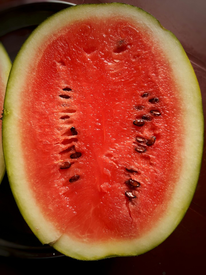 watermelon
