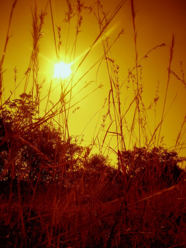 beautiful sunrise