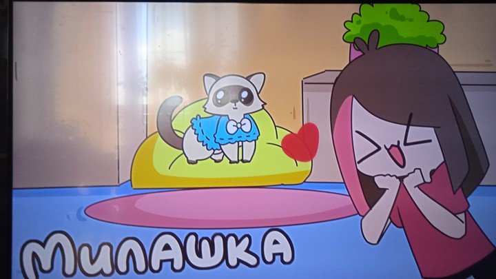 Милашка хорек