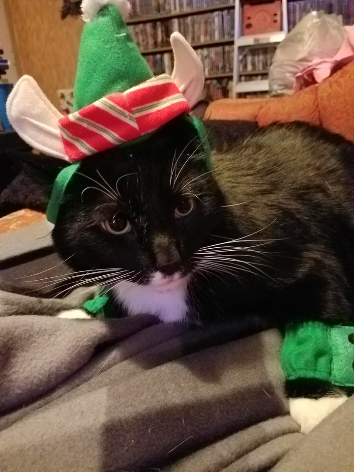 King Diamond Santa's little elf