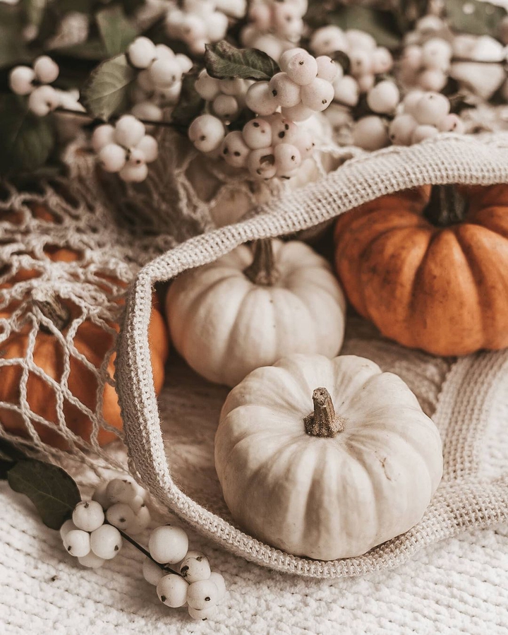 Pumpkins
