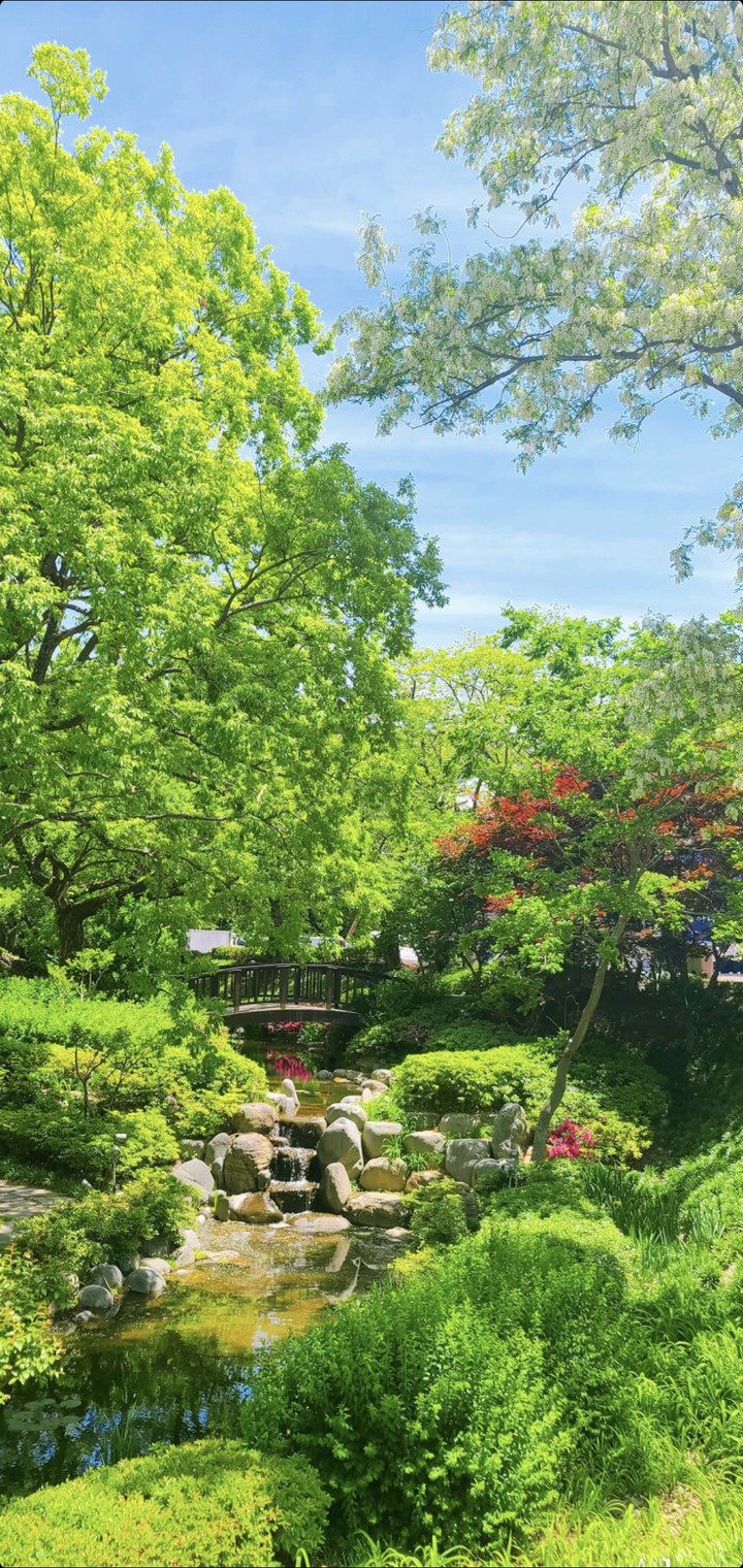 green garden