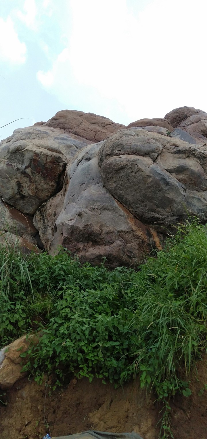Rock's