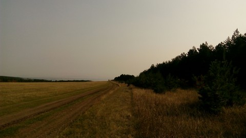 field
