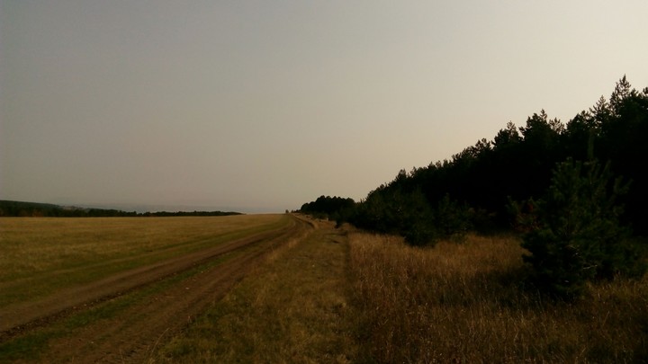 field