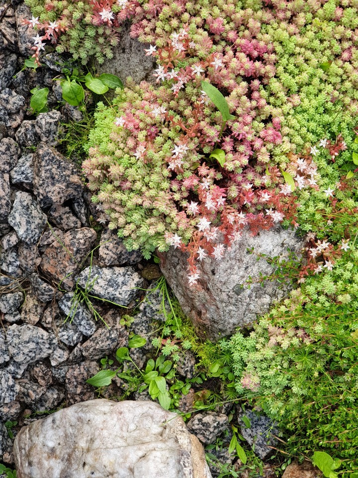 Nature invented, we combined