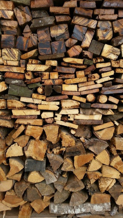 Wallpaper wood