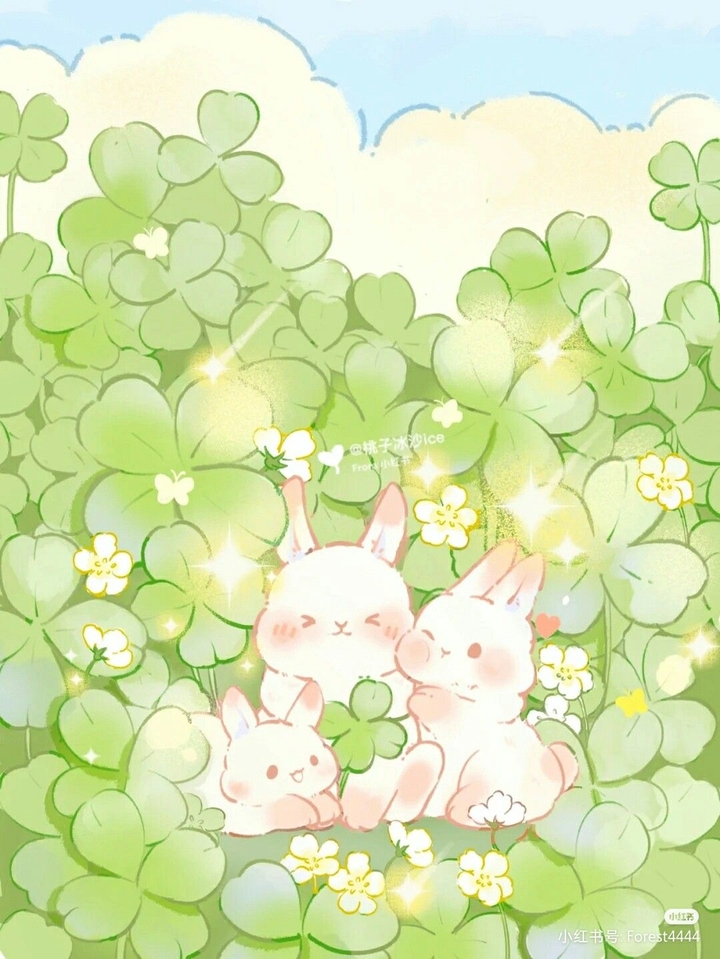Bunny Collection1