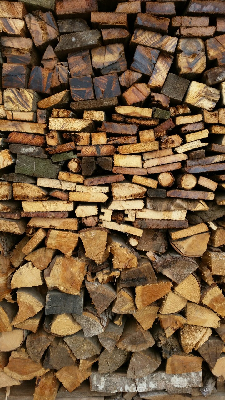 Wallpaper wood