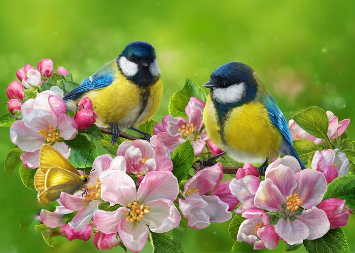 spring