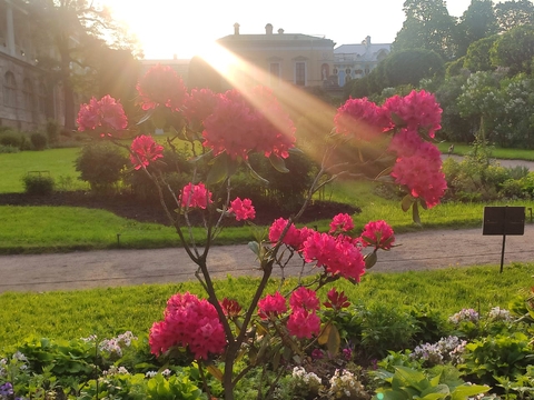 park, pink壁紙