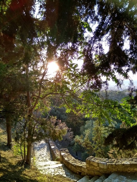 road to the past