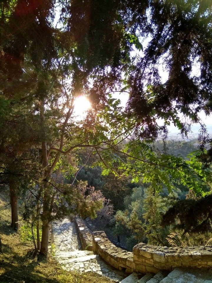 road to the past