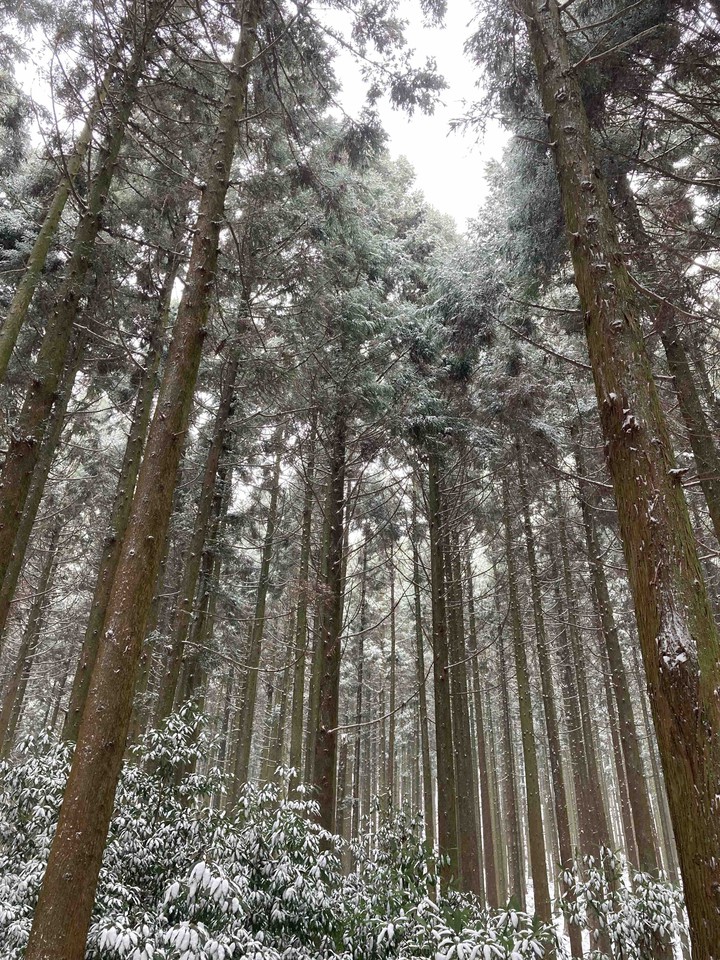 겨울산