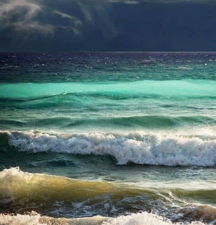 Water