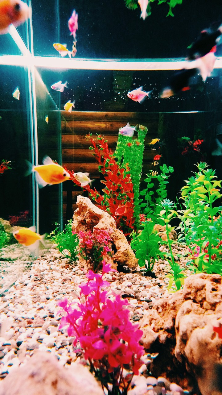 Under water 2