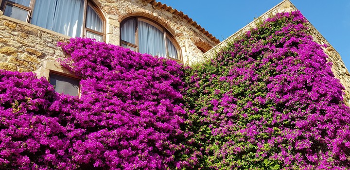 flower house in spain