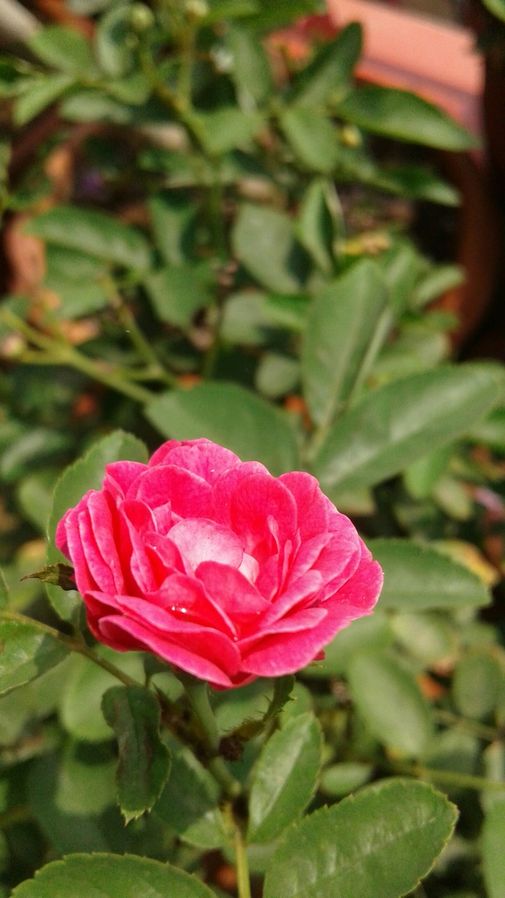 beautiful...