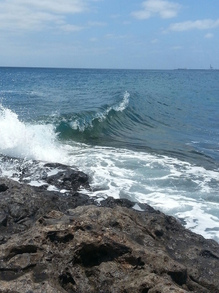 Little Wave