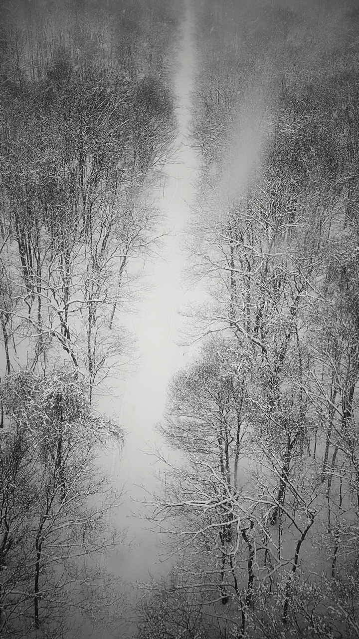 snow road