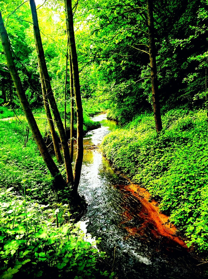 nature