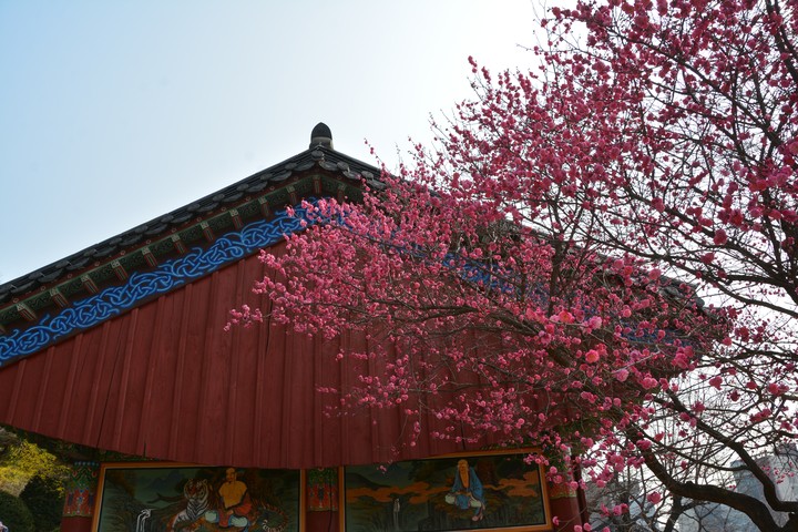 풍경이미지