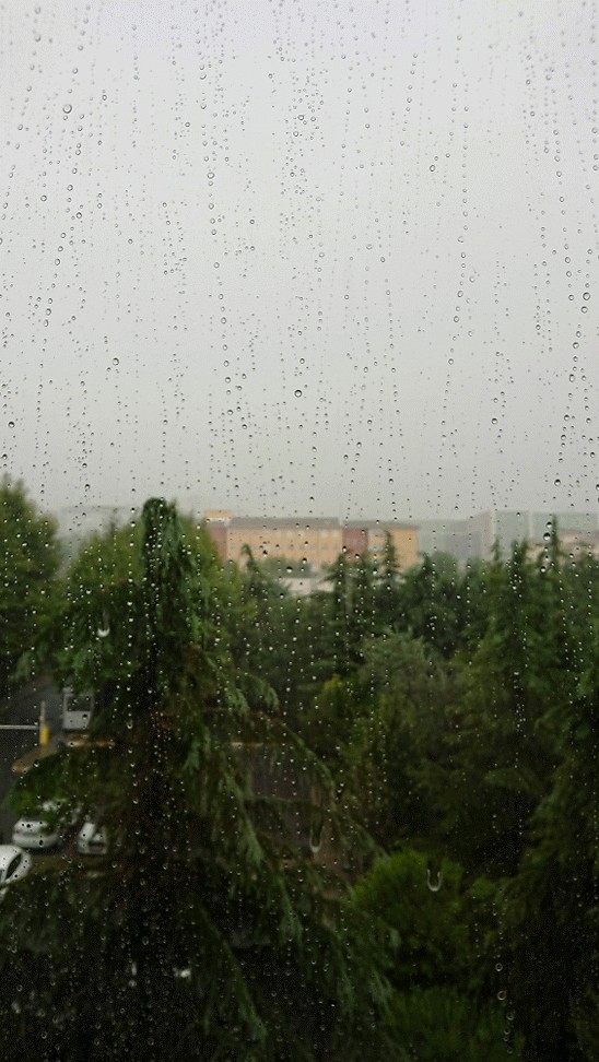 rain