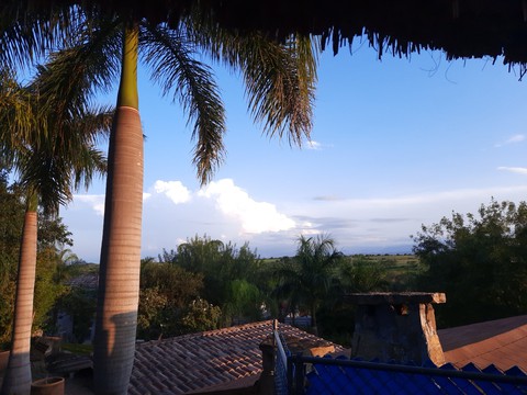 buen día