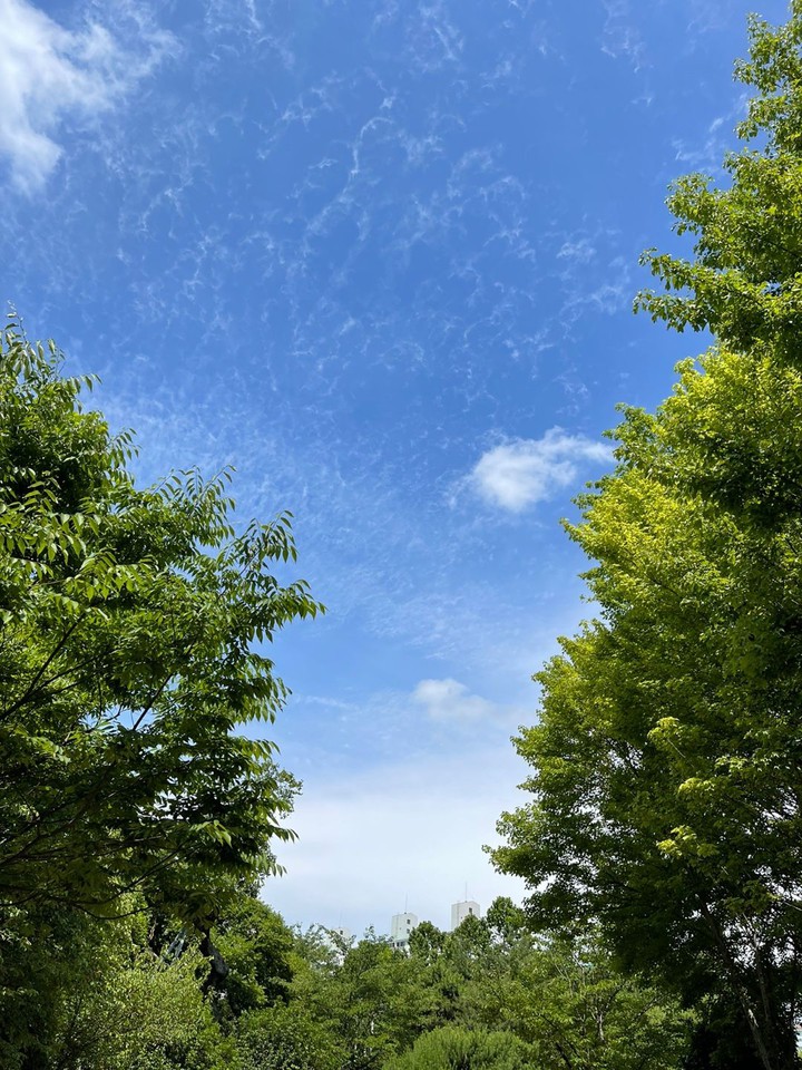 하늘셀카
