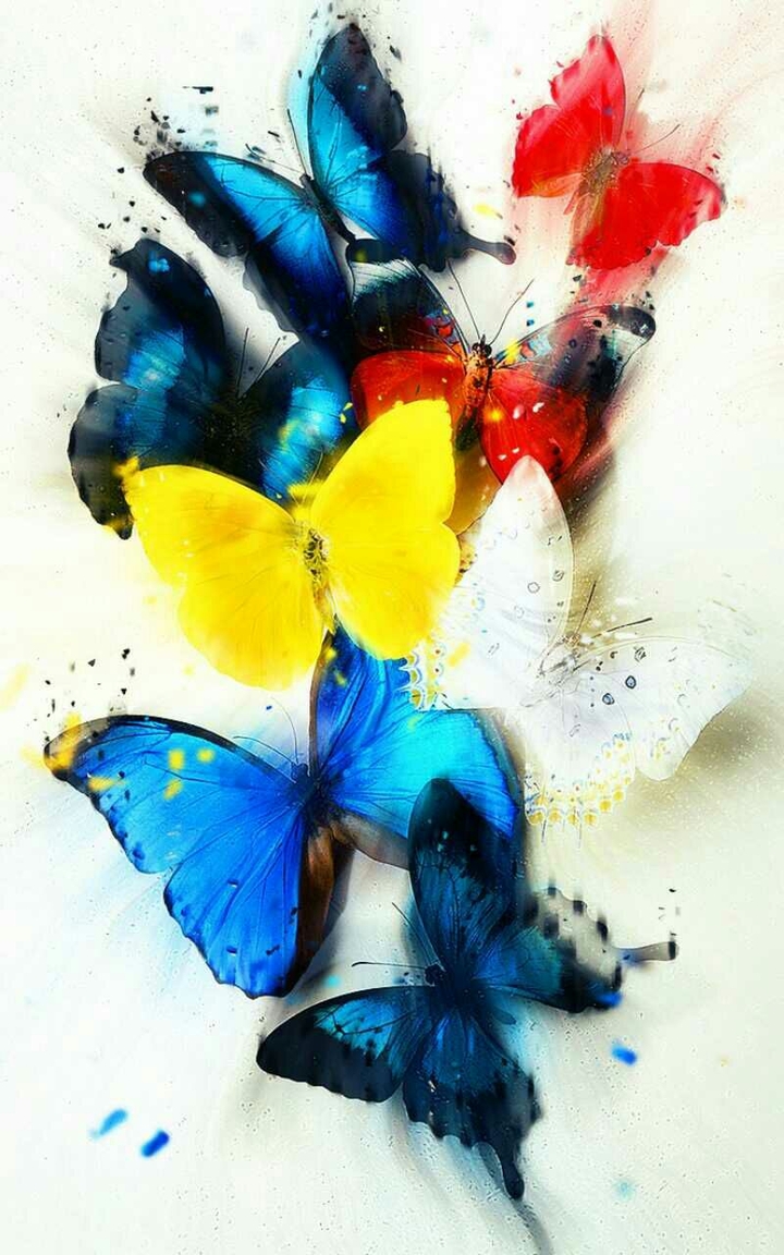 Blue & yellow