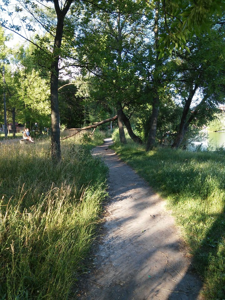 У озера