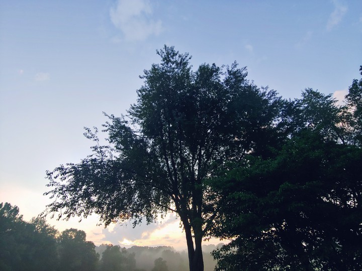 Saturday Morning Kentucky