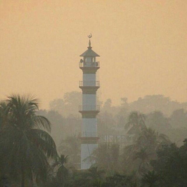 my village  morning  time