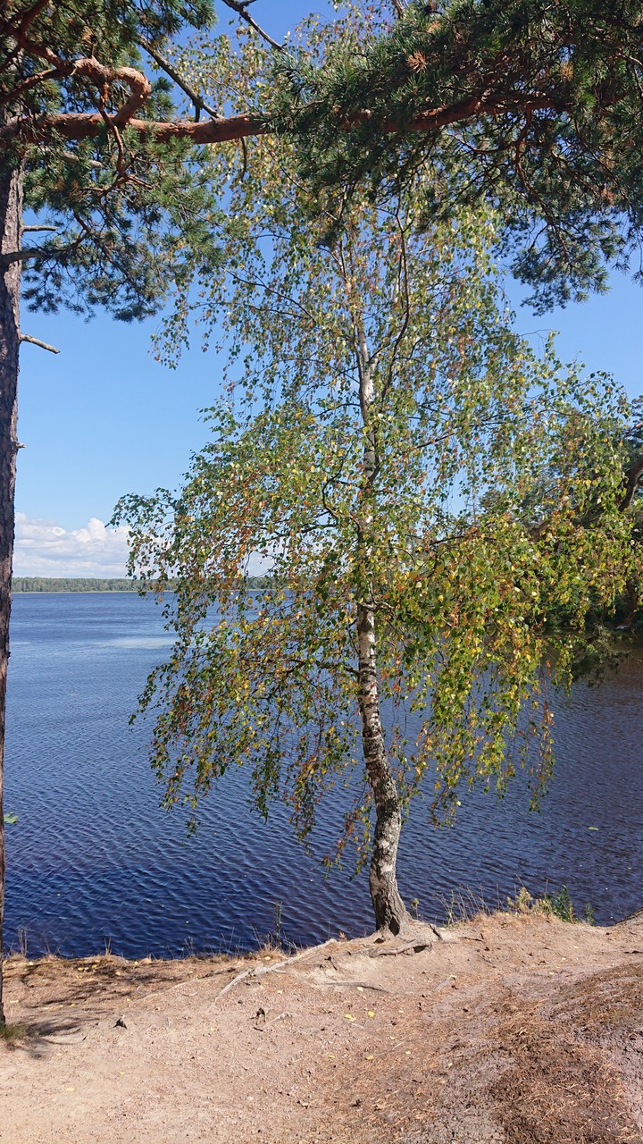 парк