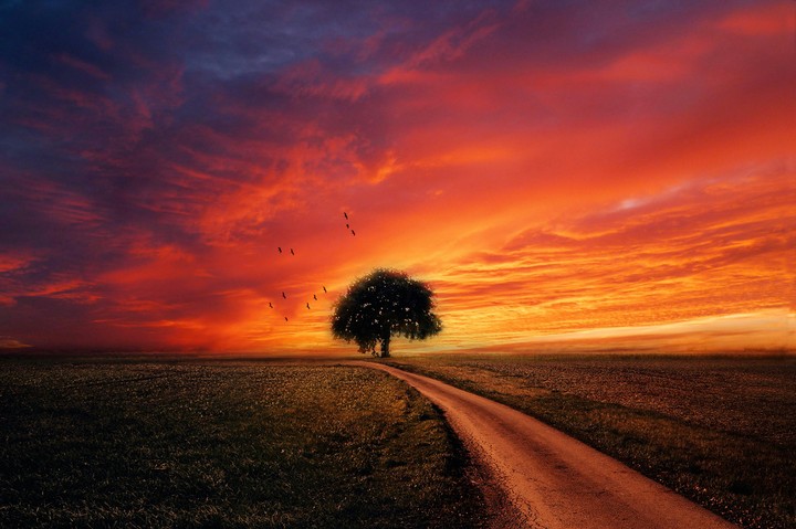Природа