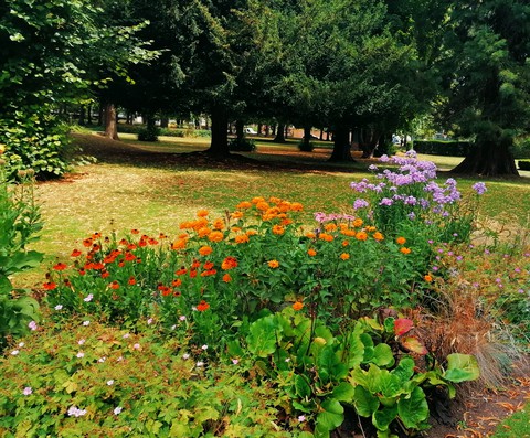 park