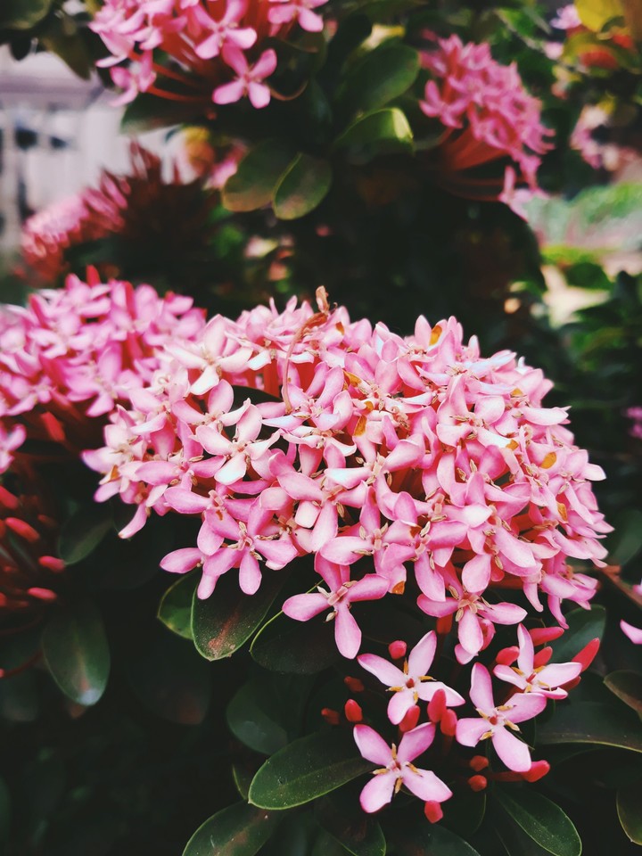 nature