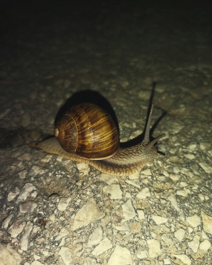 very slow