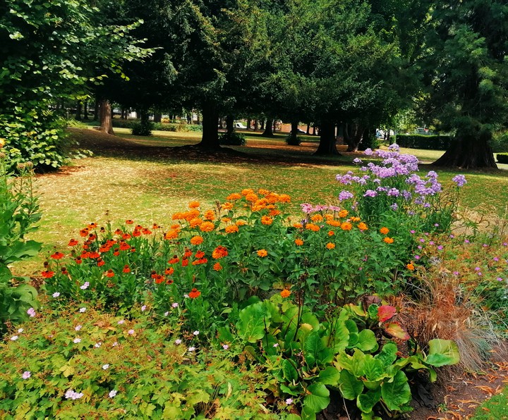 park