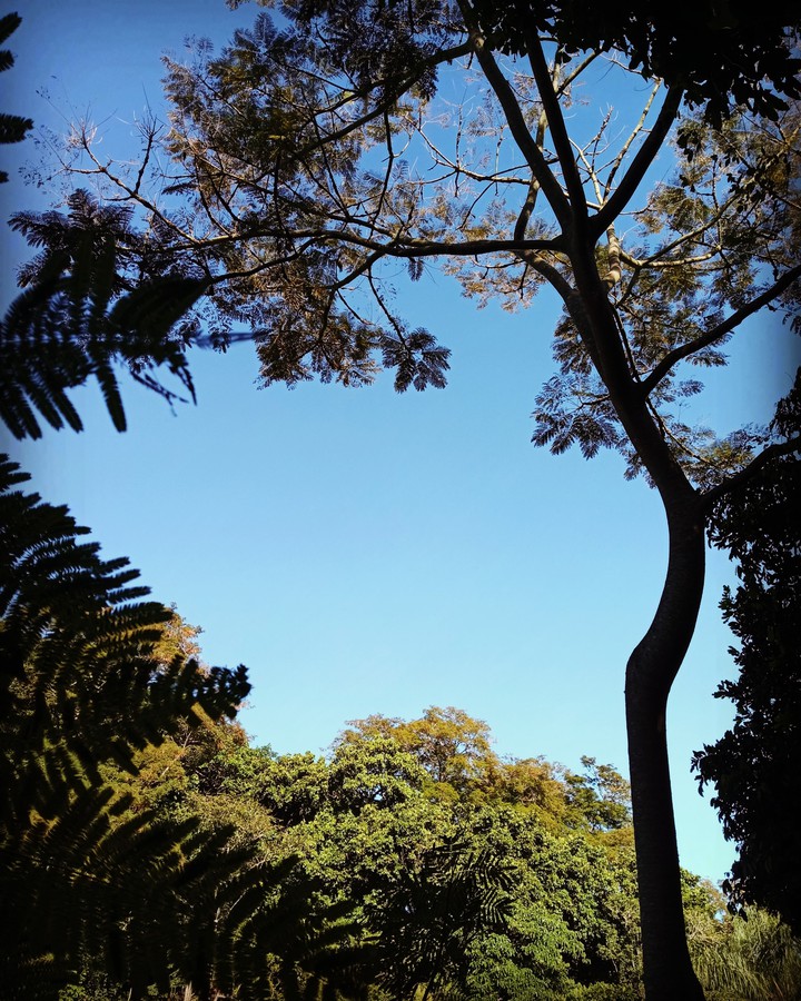 Nature