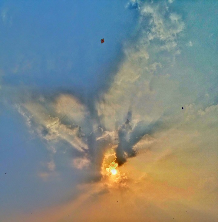 kite festival