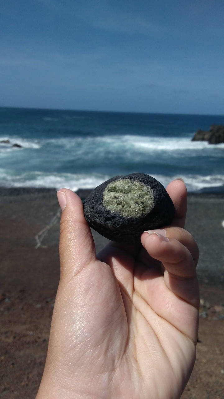 Beach finds