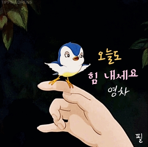 화이팅