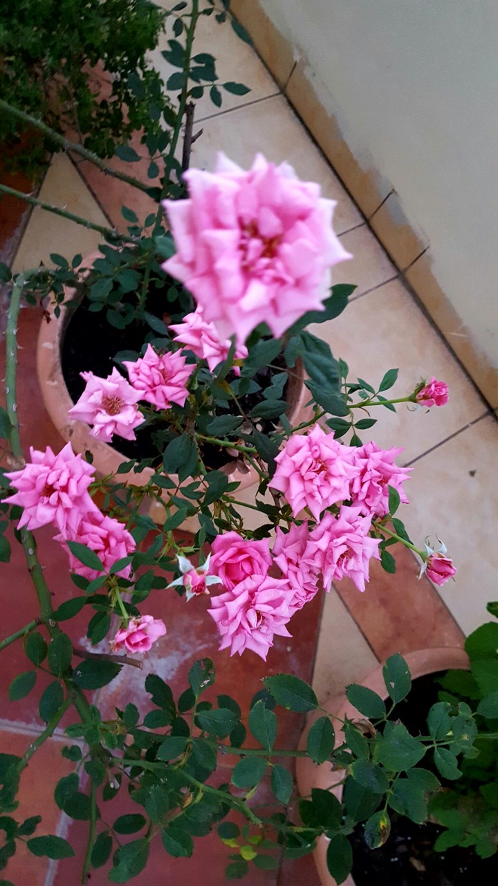 morning photography