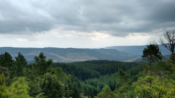 Natureza