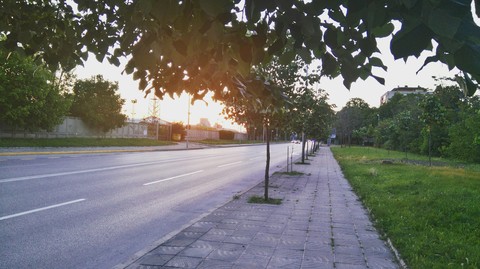 Sunset Street