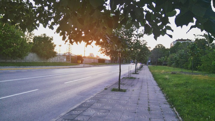Sunset Street